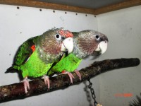 /album/fotogaleria/a21-12-2010-stiahnute-z-karty-katarine-darovana-012-jpg/